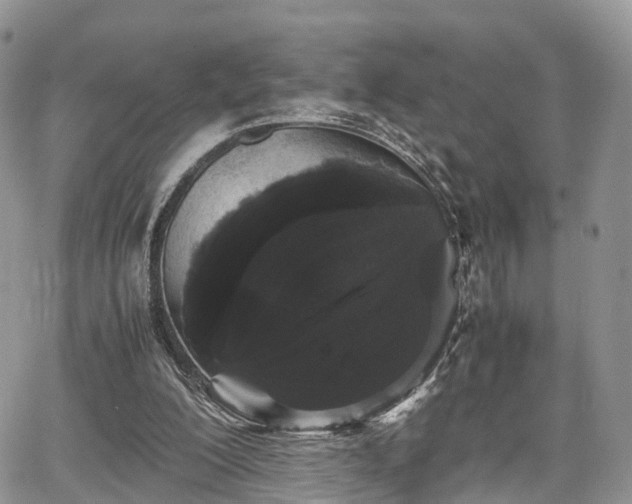 X0000067870200200604171232