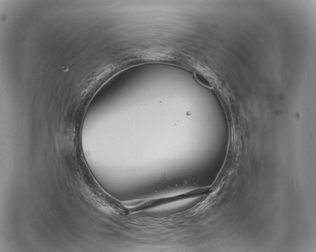 X0000067870201200604171232