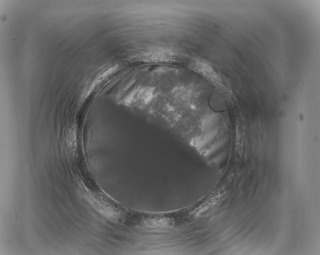 X0000067870202200604171232