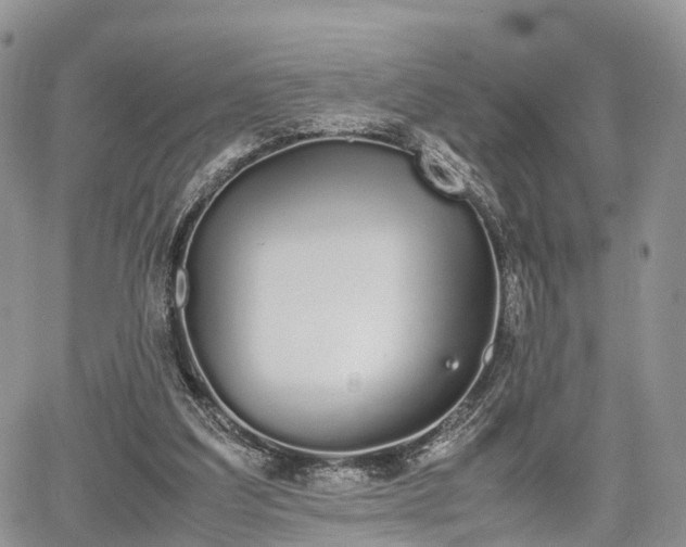 X0000067870203200604171232