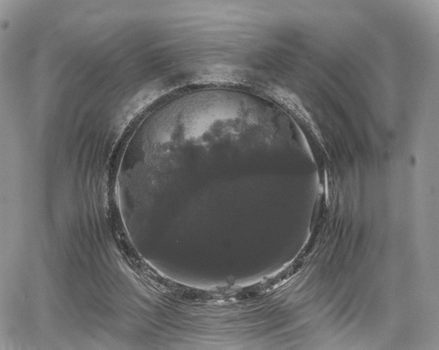 X0000067870204200604171232