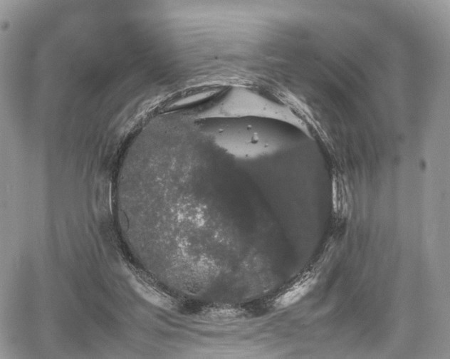 X0000067870205200604171232