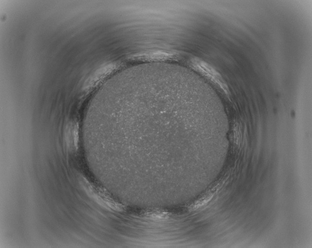 X0000067870206200604171232