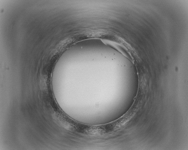 X0000067870209200604171232