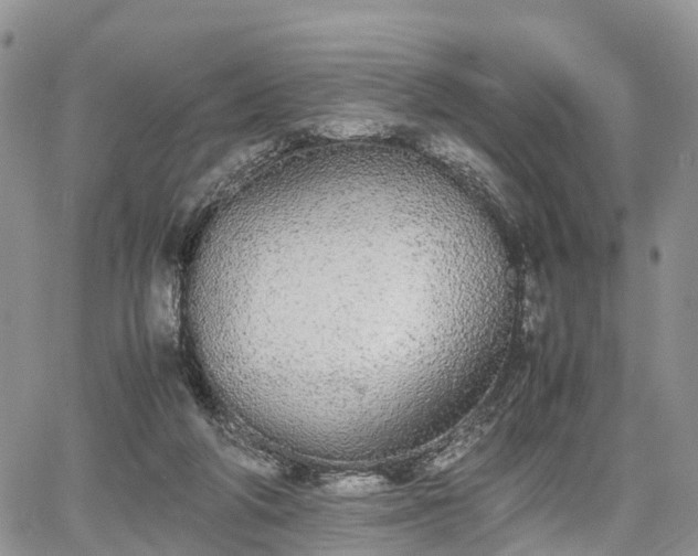 X0000067870210200604171232