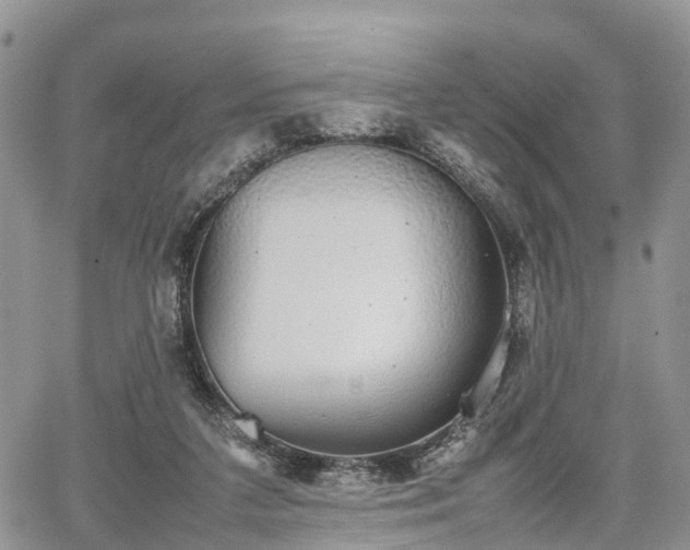 X0000067870211200604171232