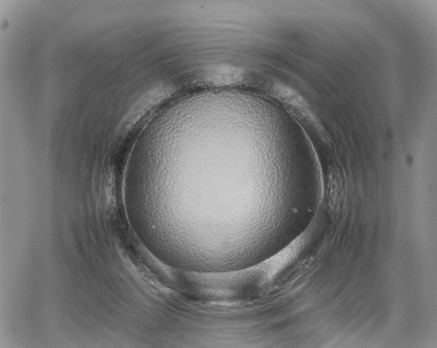 X0000067870212200604171232