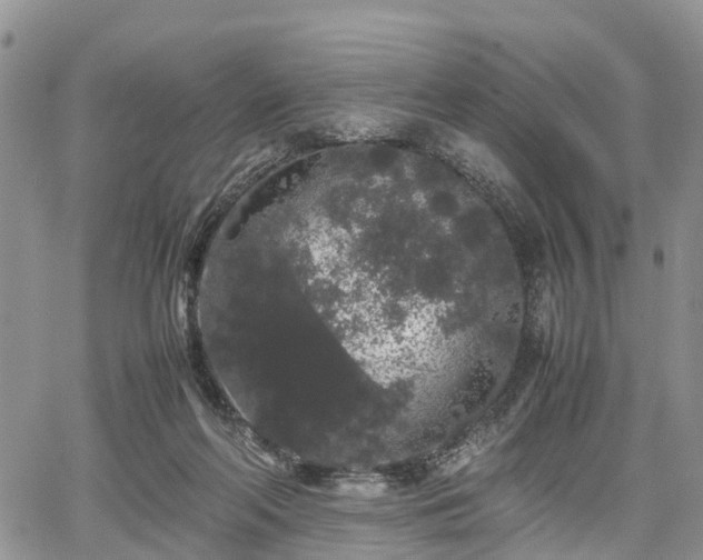 X0000067870214200604171232