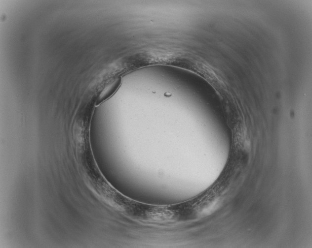 X0000067870215200604171232