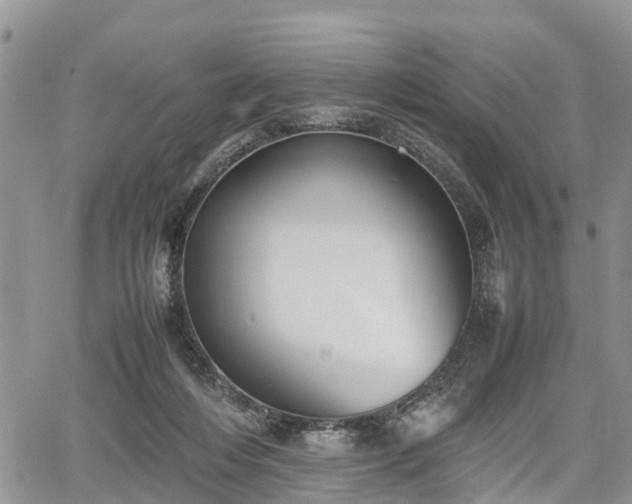 X0000067870216200604171232