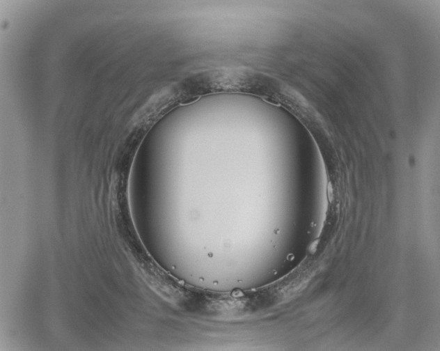 X0000067870217200604171232