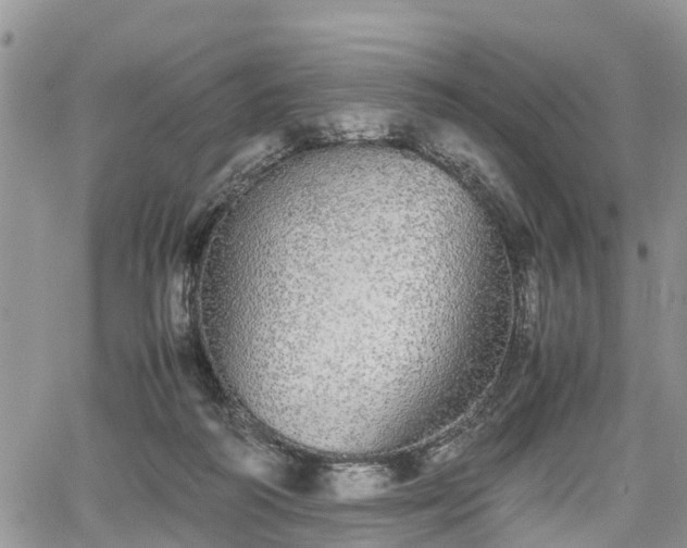 X0000067870218200604171232