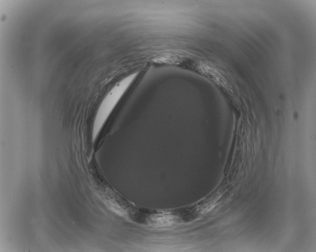 X0000067870219200604171232