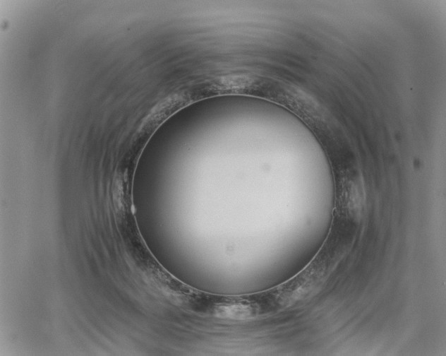 X0000067870220200604171232