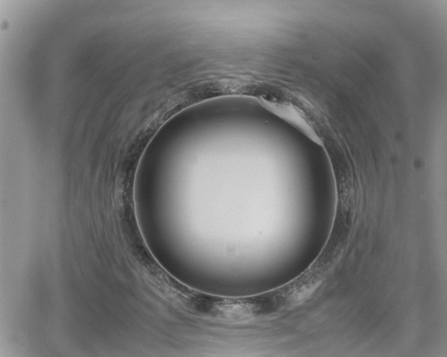 X0000067870221200604171232