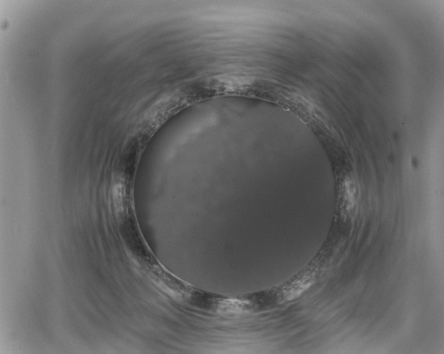 X0000067870222200604171232