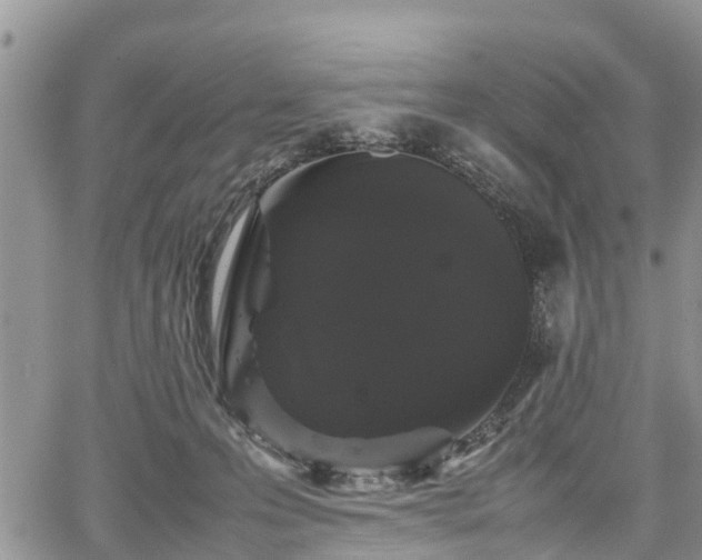 X0000067870223200604171232