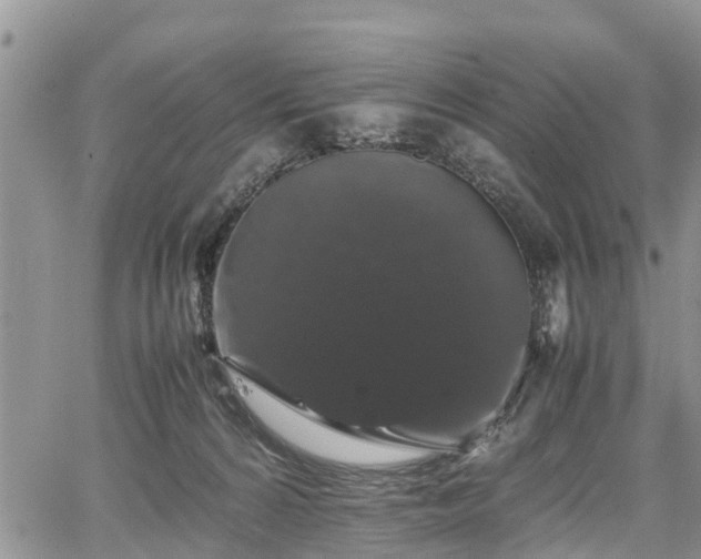 X0000067870224200604171232