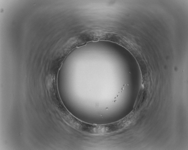 X0000067870225200604171232