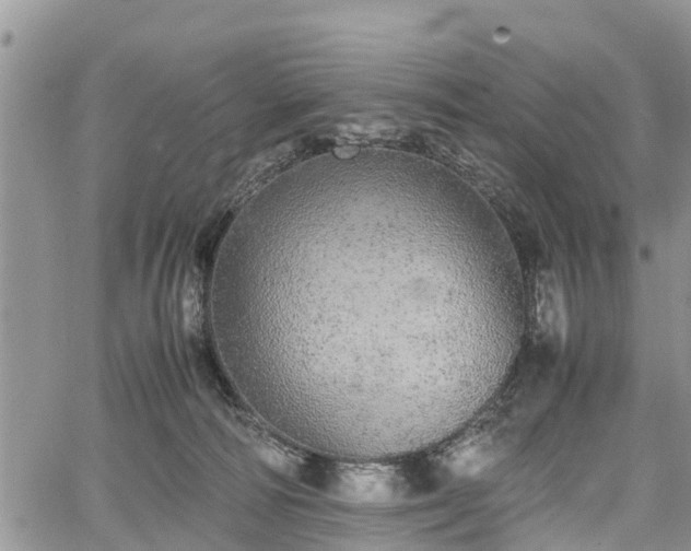 X0000067870226200604171232