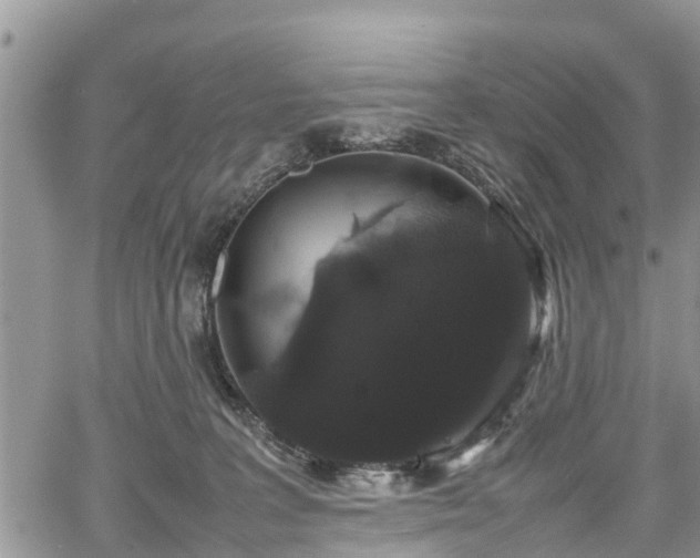 X0000067870227200604171232