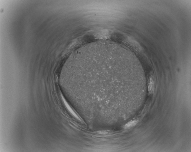 X0000067870229200604171232