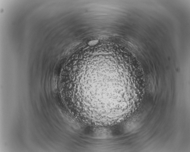 X0000067870230200604171232