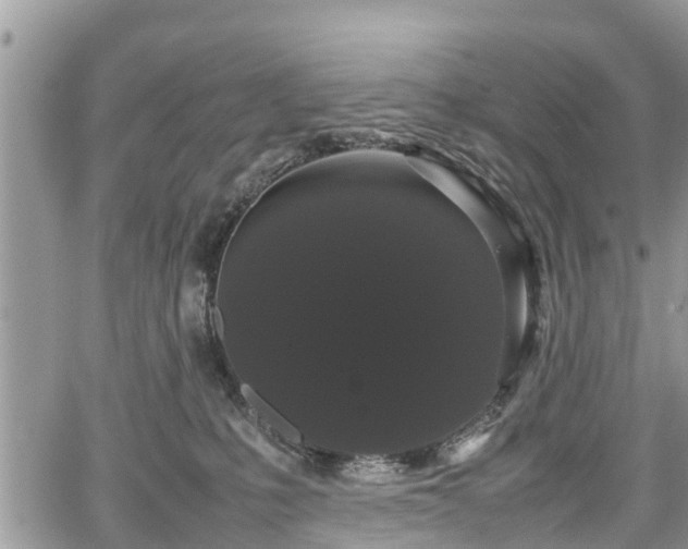 X0000067870231200604171232