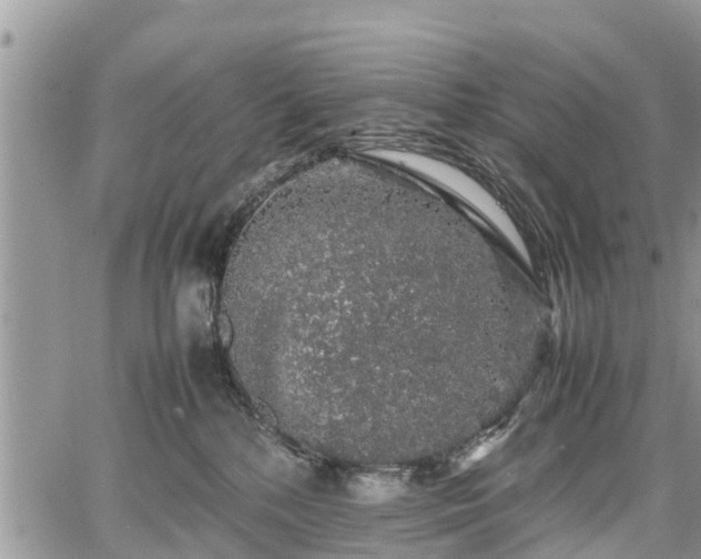 X0000067870232200604171232