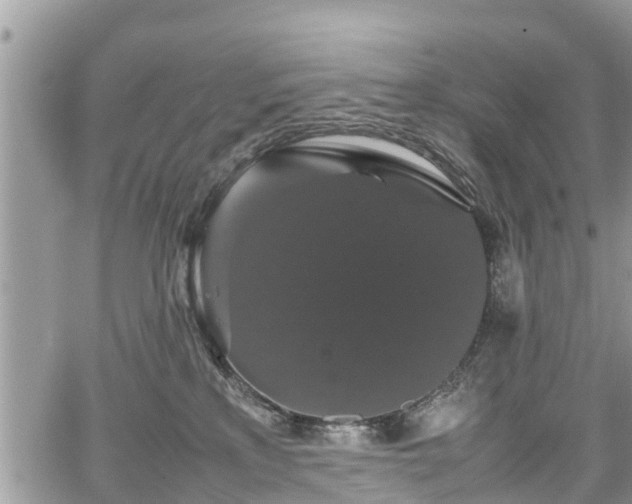 X0000067870233200604171232