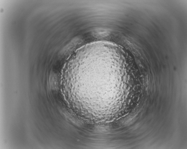 X0000067870234200604171232