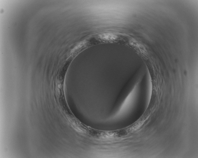 X0000067870235200604171232