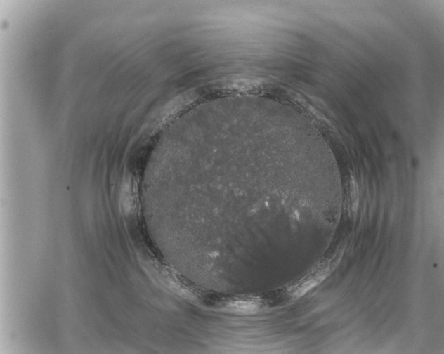 X0000067870236200604171232