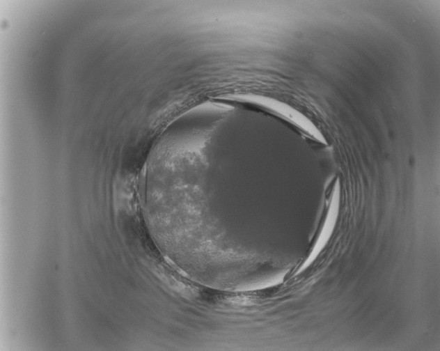 X0000067870237200604171232