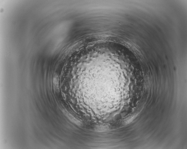 X0000067870238200604171232