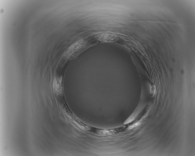 X0000067870239200604171232