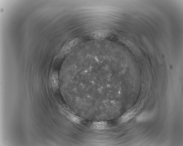 X0000067870240200604171232