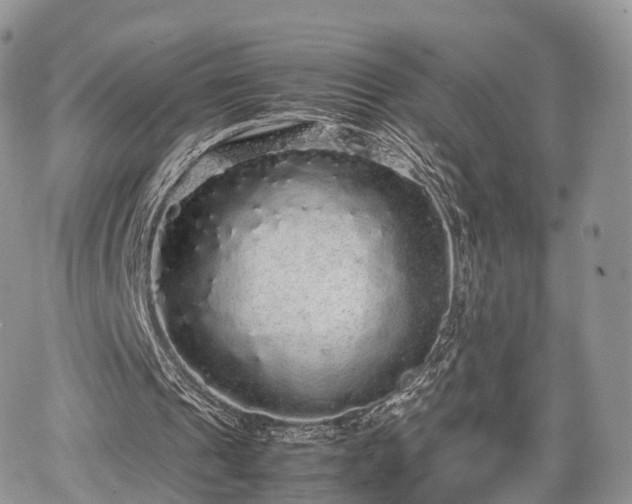 X0000067870241200604171231