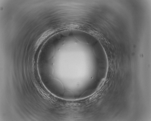 X0000067870242200604171231