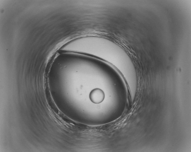 X0000067870244200604171231