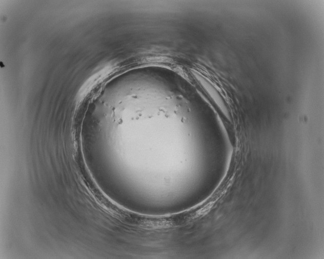 X0000067870245200604171231