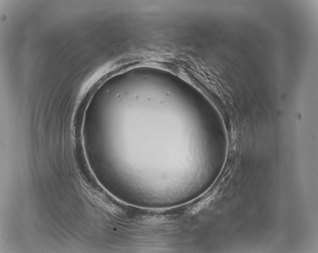 X0000067870246200604171231