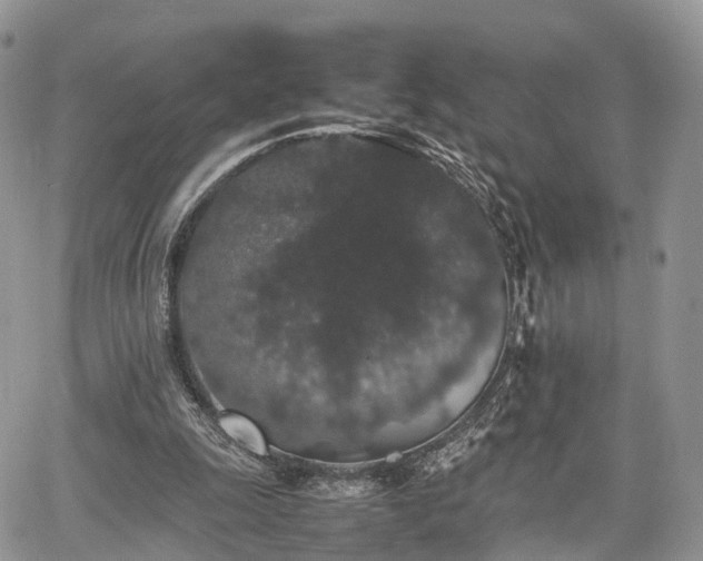 X0000067870247200604171231