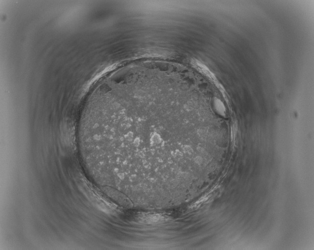 X0000067870249200604171231