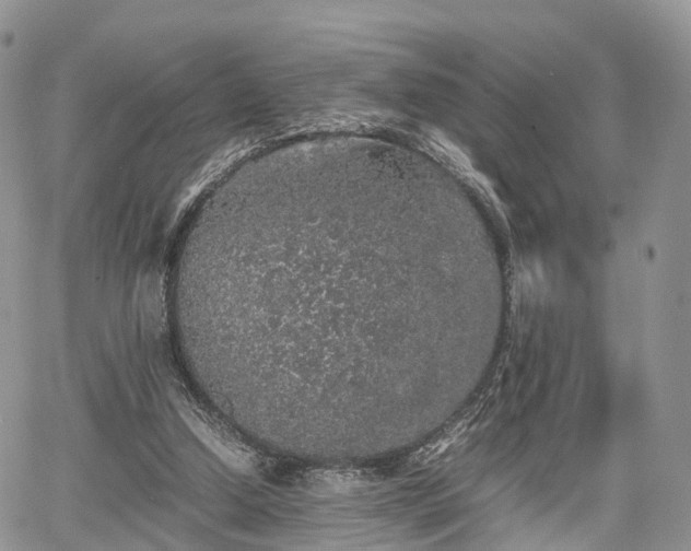 X0000067870250200604171231