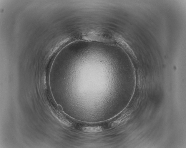 X0000067870251200604171231