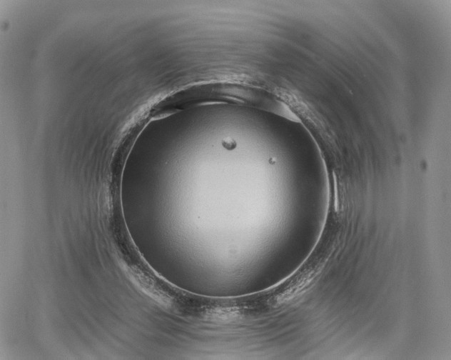 X0000067870252200604171231