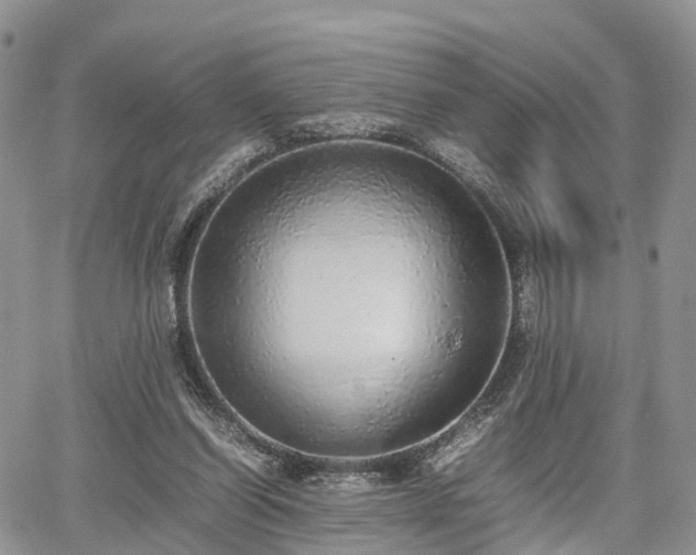 X0000067870254200604171231