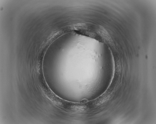 X0000067870255200604171231