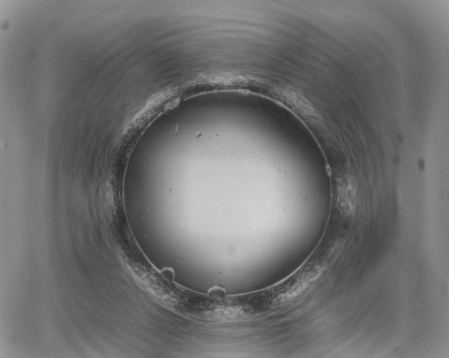 X0000067870256200604171231